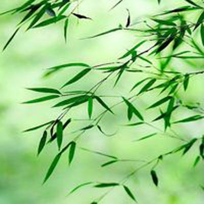 天琊神剑单机版下载